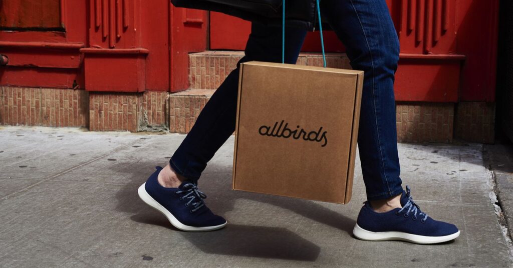 Allbirds Shifts Focus to AI Computing: Why Not?